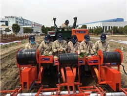 红薯机械化移栽经济效益分析