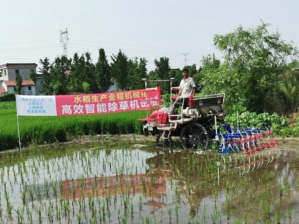 富来威水田除草机